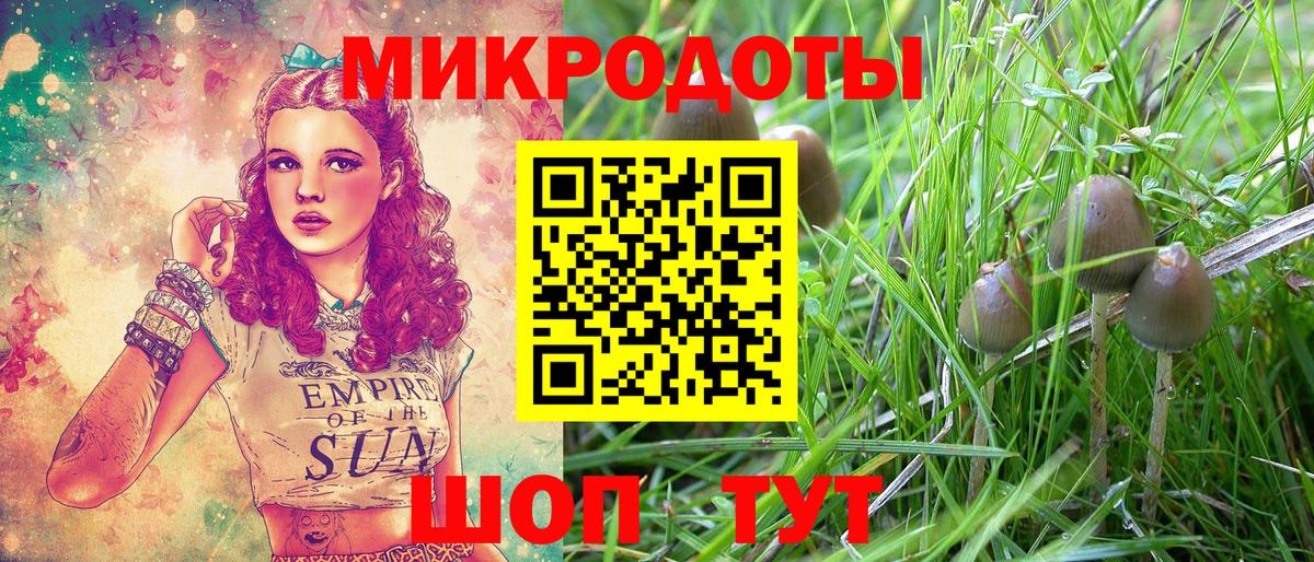Галлюциногенные грибы MAGIC MUSHROOMS  что такое   Магнитогорск  Вход с VPN  Галлюциногенные грибы мицелий 